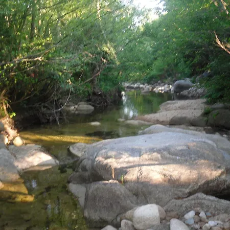 L'albizia Acces Prive Riviere Villa *