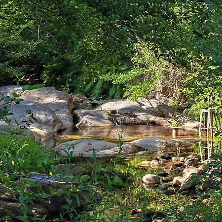 L'albizia Acces Prive Riviere Villa Porto-Vecchio (Corsica)