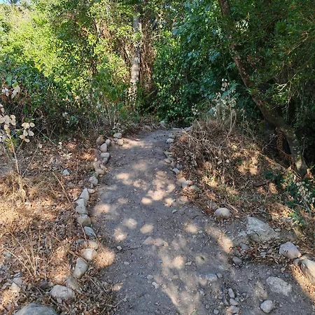 L'albizia Accès Privé Rivière * Porto Vecchio