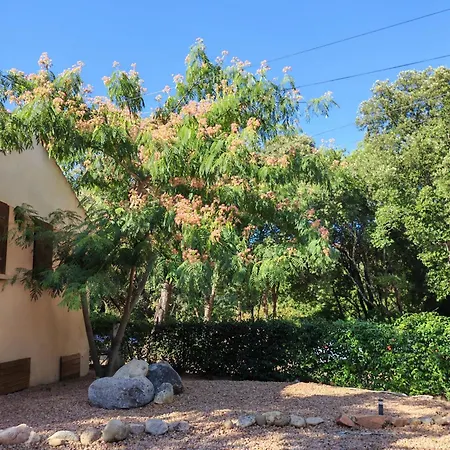 Villa L'albizia Acces Prive Riviere