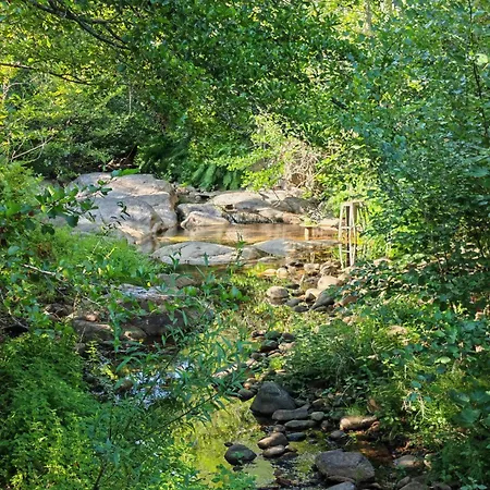 Villa L'albizia Accès Privé Rivière Porto Vecchio