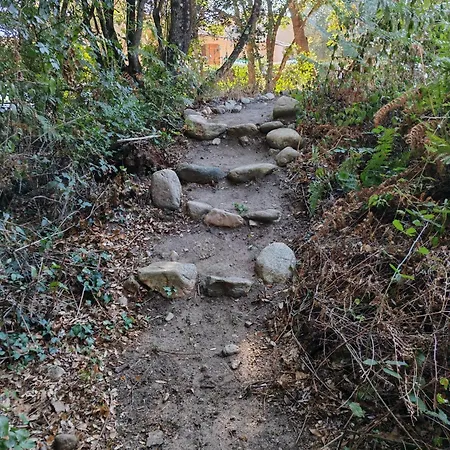 L'albizia Acces Prive Riviere *