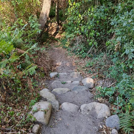 L'albizia Accès Privé Rivière Porto Vecchio