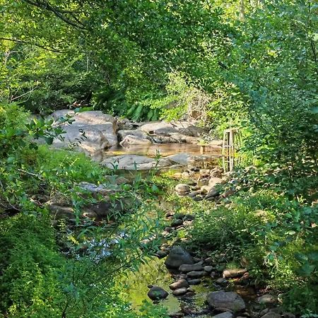 Villa L'albizia Accès Privé Rivière