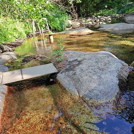 L'albizia Acces Prive Riviere Villa Porto-Vecchio (Corsica)