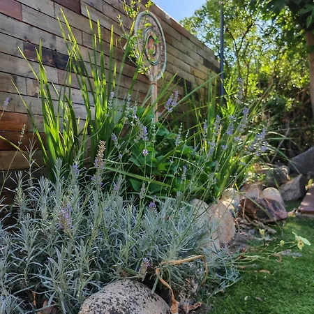 Villa L'albizia Acces Prive Riviere *