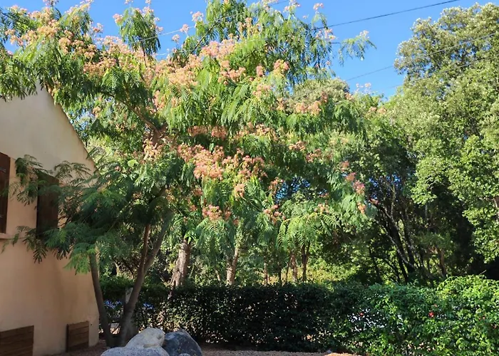 Villa L'albizia Acces Prive Riviere