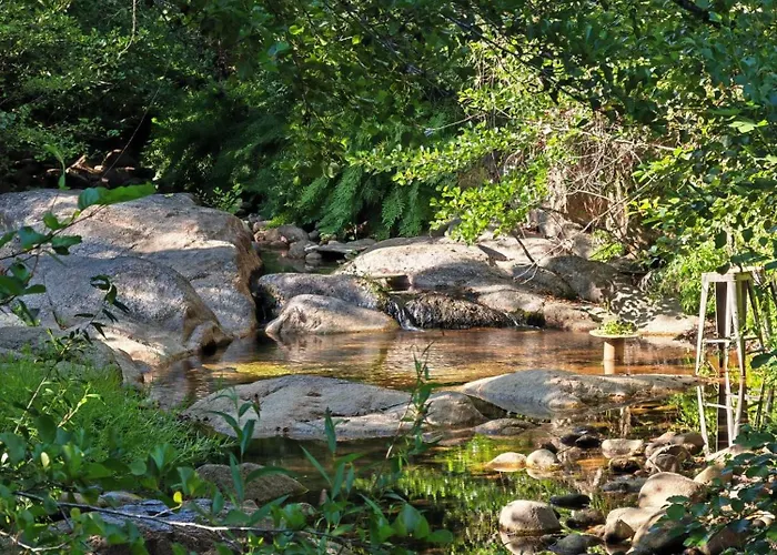 L'albizia Acces Prive Riviere Vila Porto-Vecchio (Corsica)