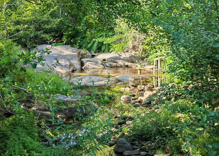 Vila L'albizia Acces Prive Riviere