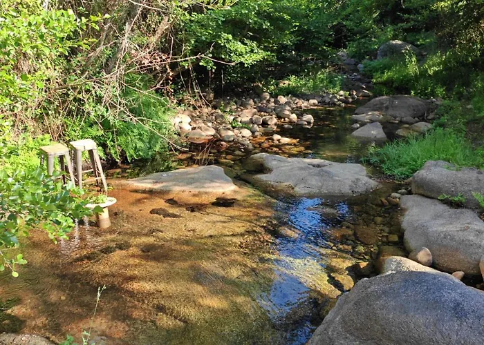 L'albizia Acces Prive Riviere *