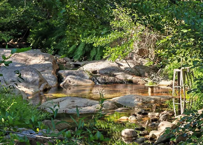 L'albizia Acces Prive Riviere Vila