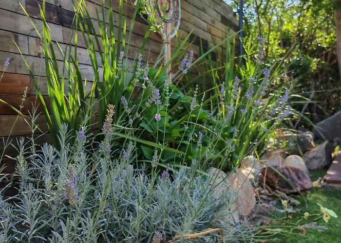 Vila L'albizia Acces Prive Riviere *